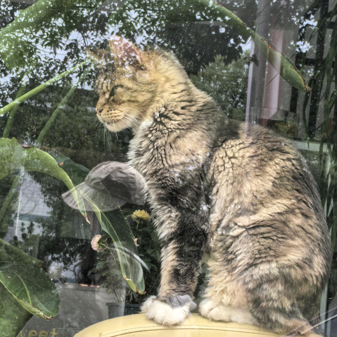 懒得想