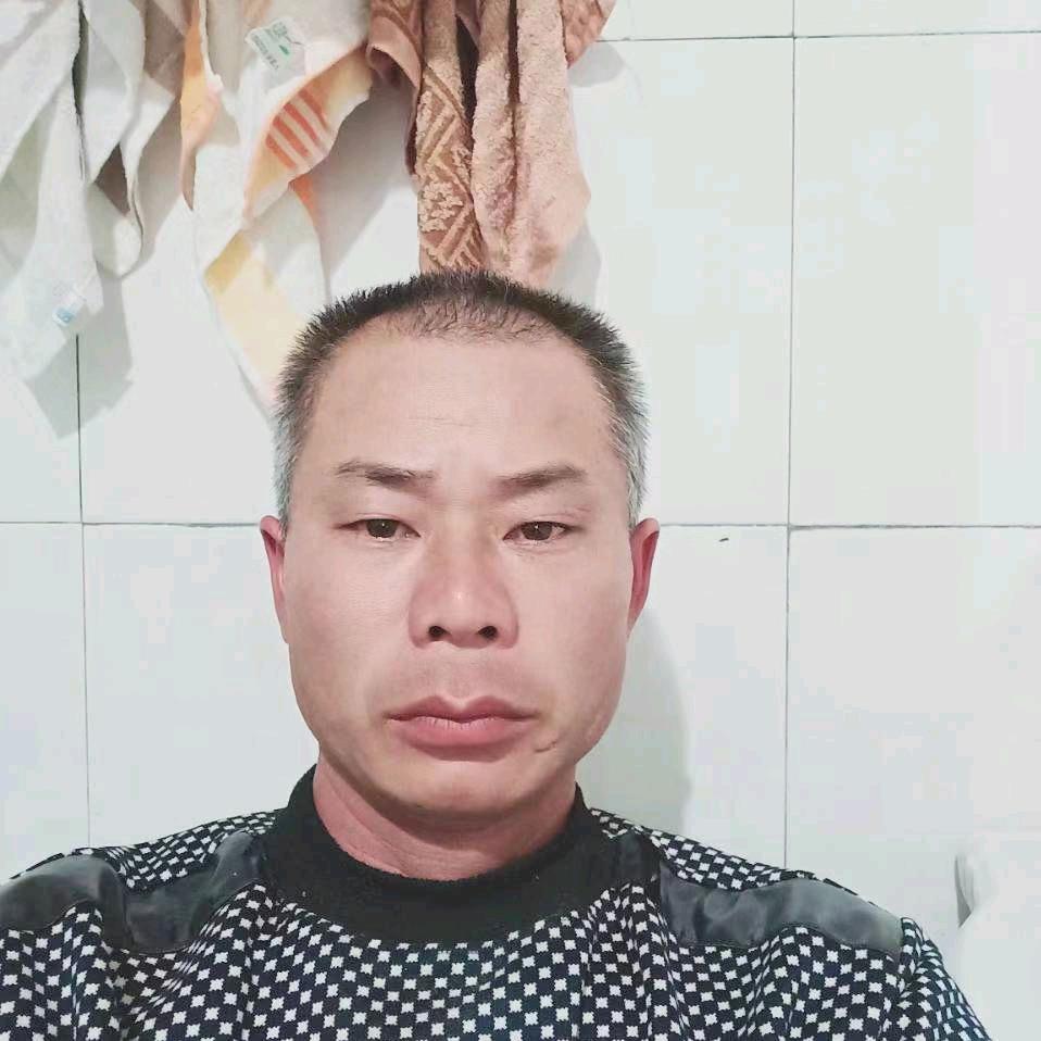 踏雪寻梅