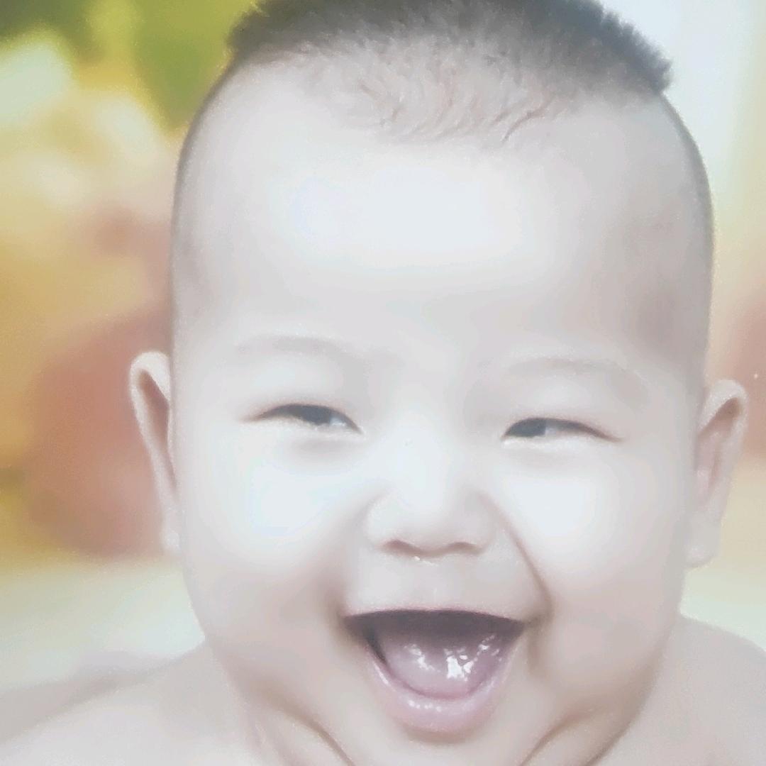 浩浩宝宝成长记