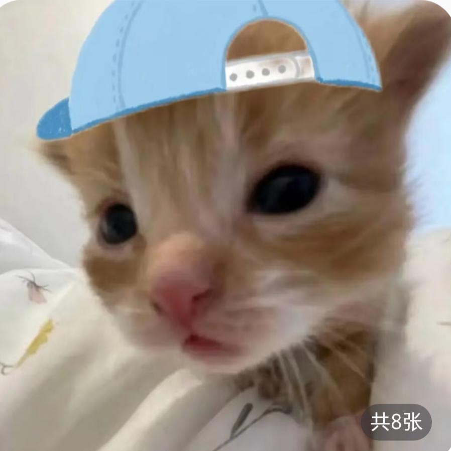 ^奶盖