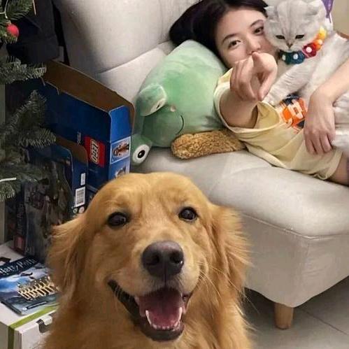 翟乐是谁，哈哈是我