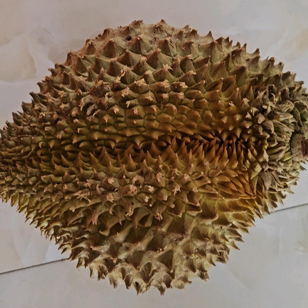 整个羊村我最懒👉