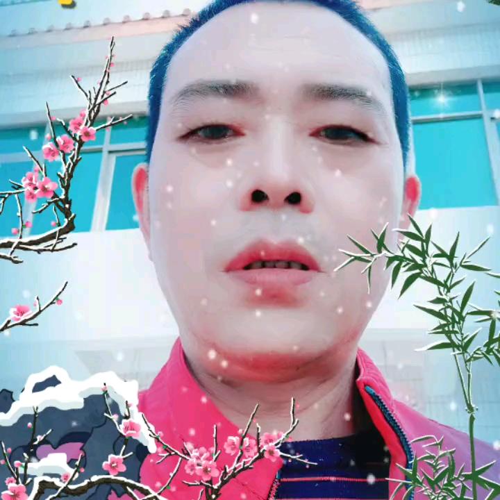 韶山红杜鹃