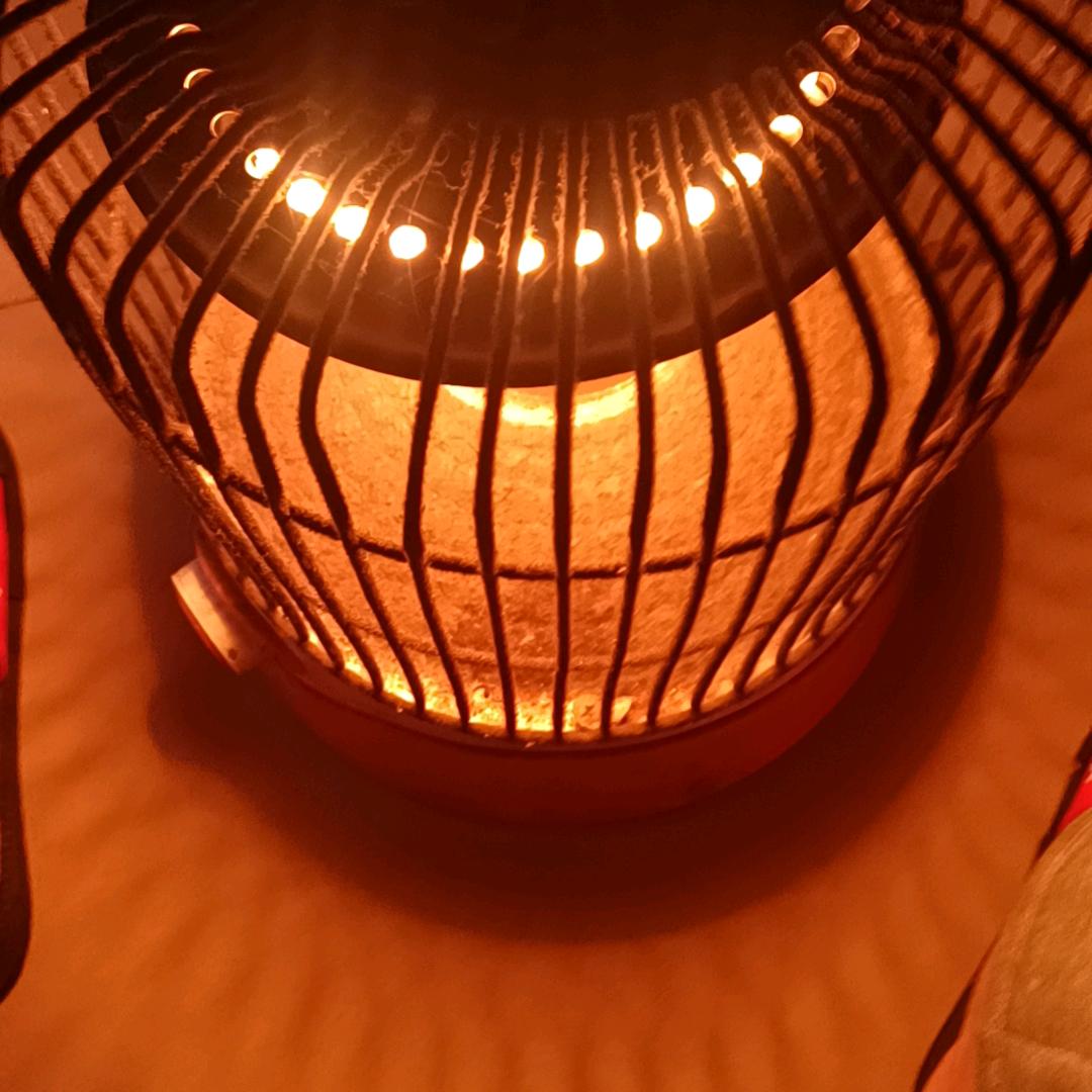 何梅