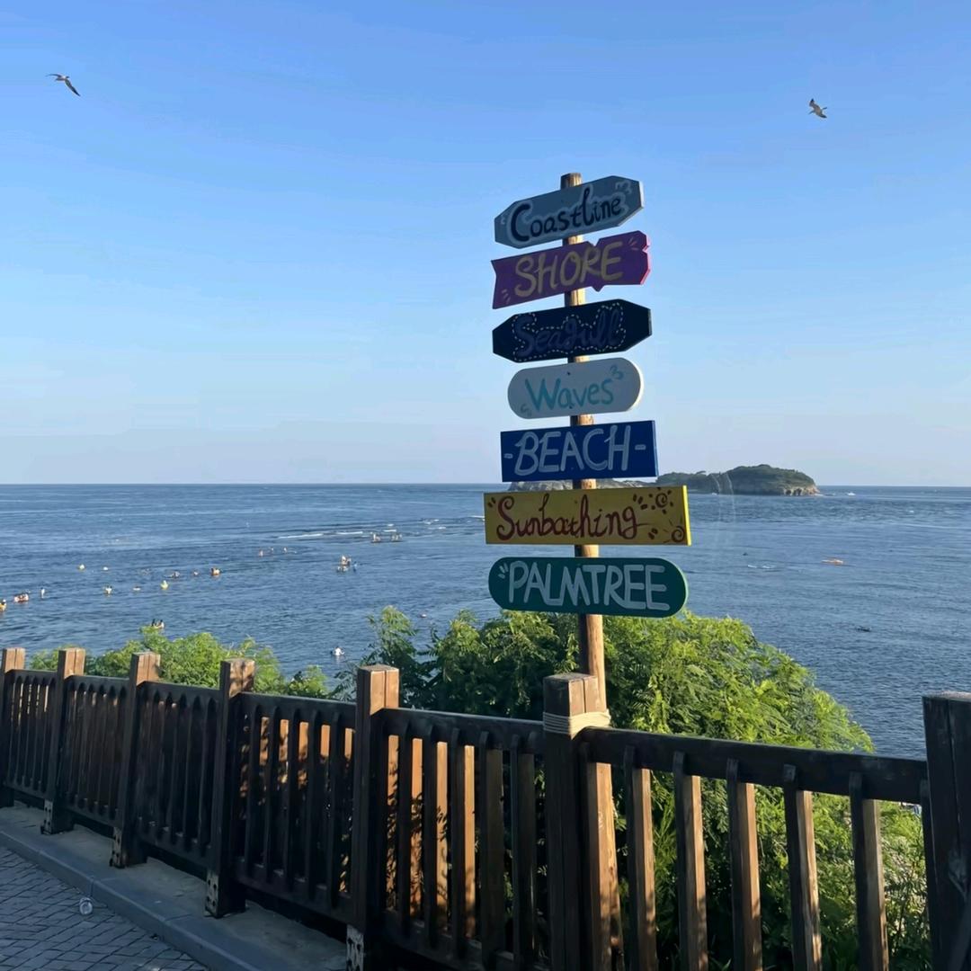 上岸必斩意中人