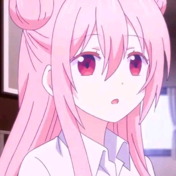 月下猫猫