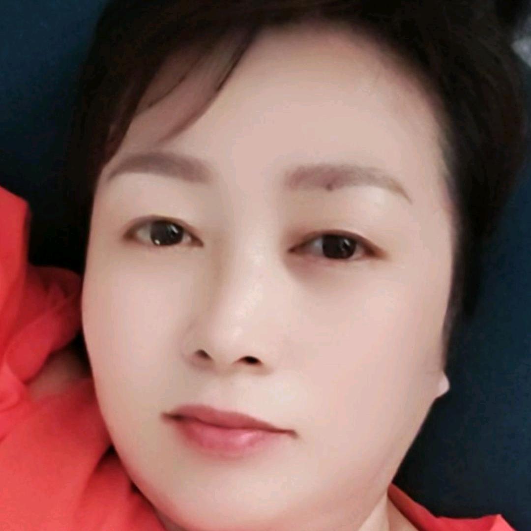 北雁南飞