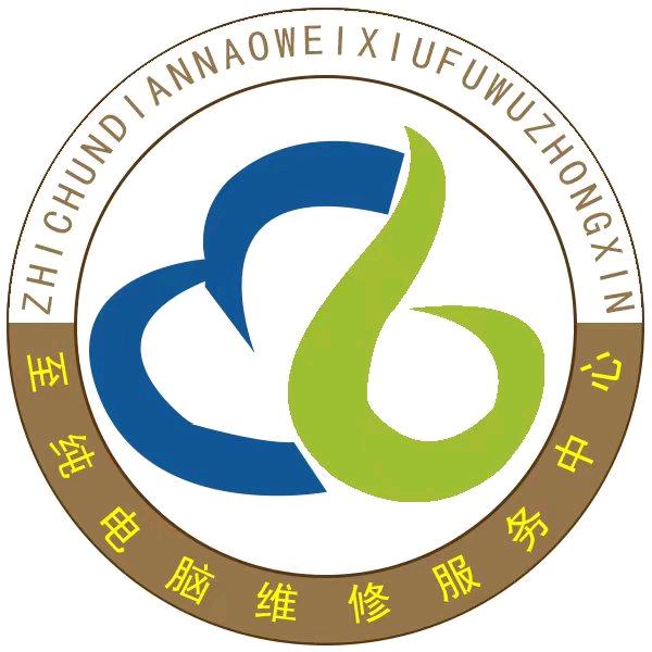 至纯重装系统维修中心