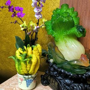 肥叔叔
