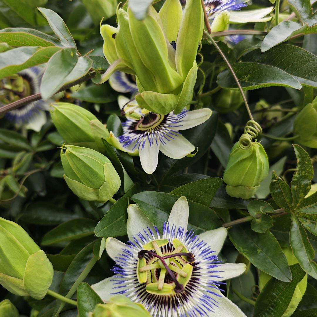 陈运亨童🎵 ⁹²⁰⁰