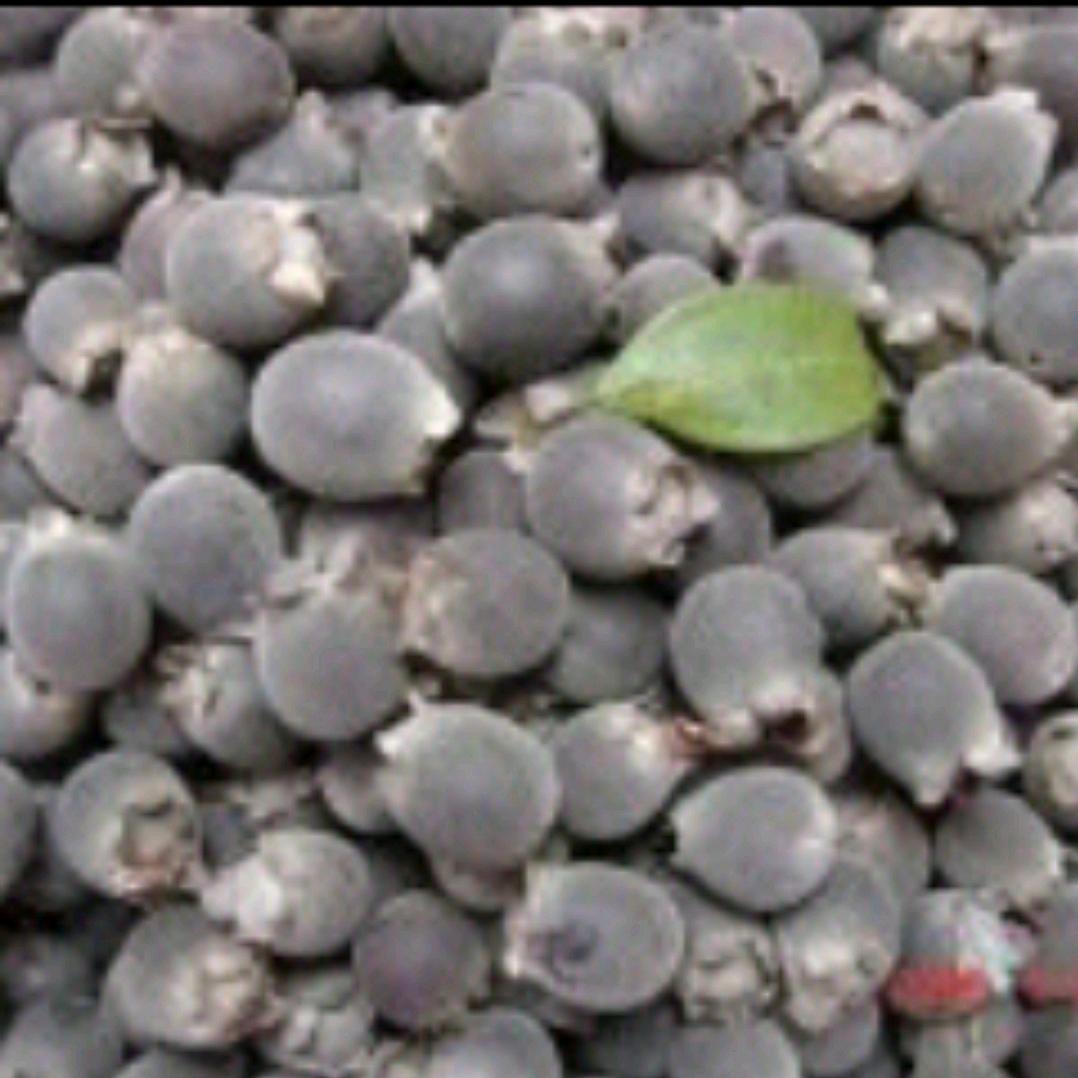 💞簡單⒈點 🍃