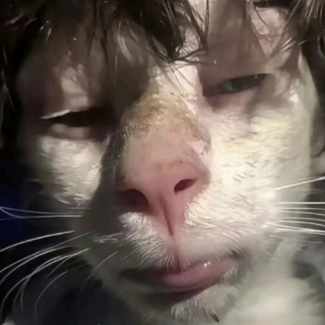 穷奇（沉浸恐游版）