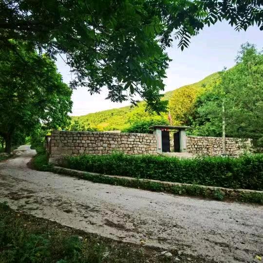 .“静谷园”康养山庄