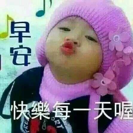 不老松