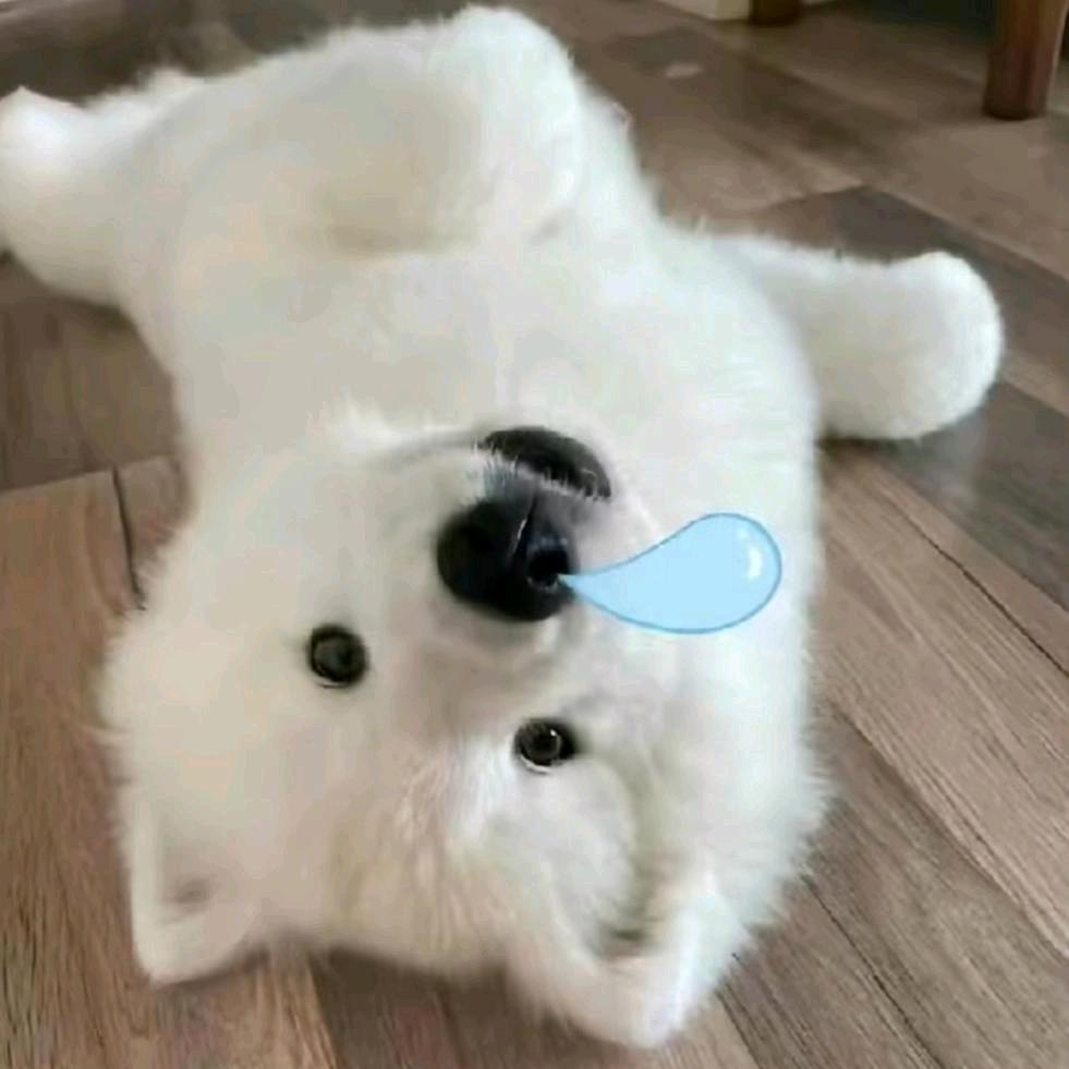 女主角