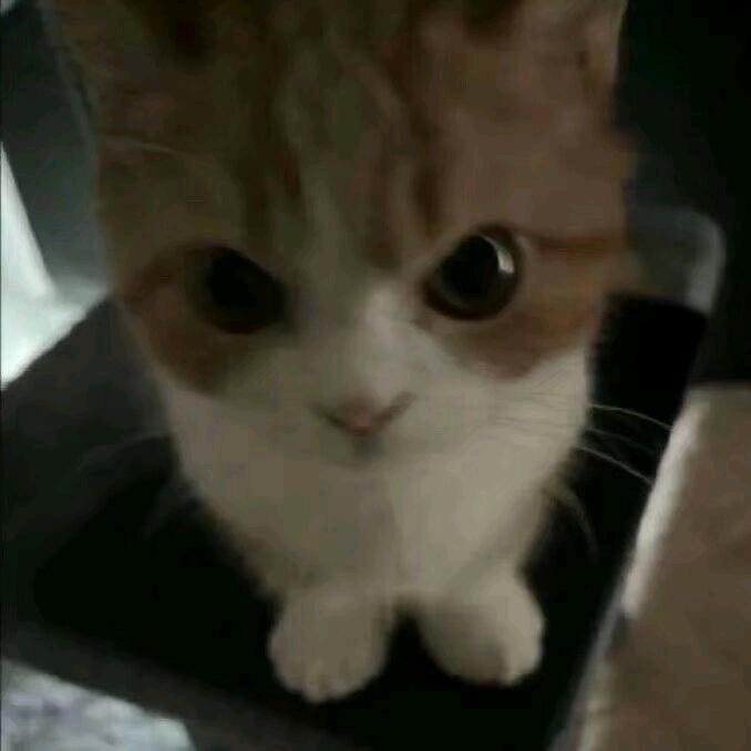 见贤