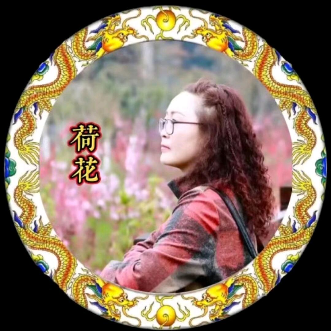 龍行⭐️荷花姐⑦