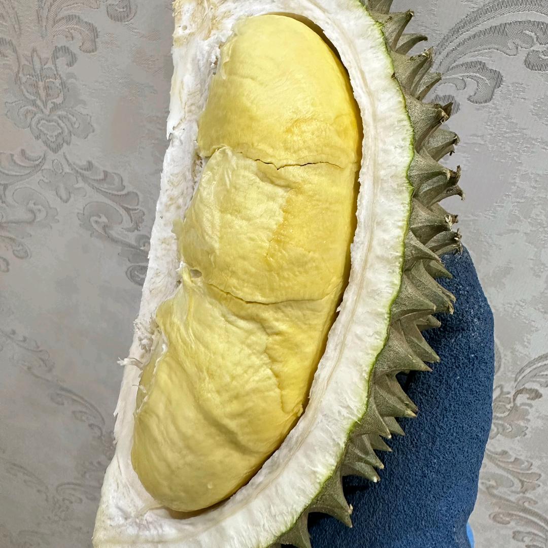 蓝猫爱吃榴莲（置顶维权视频）