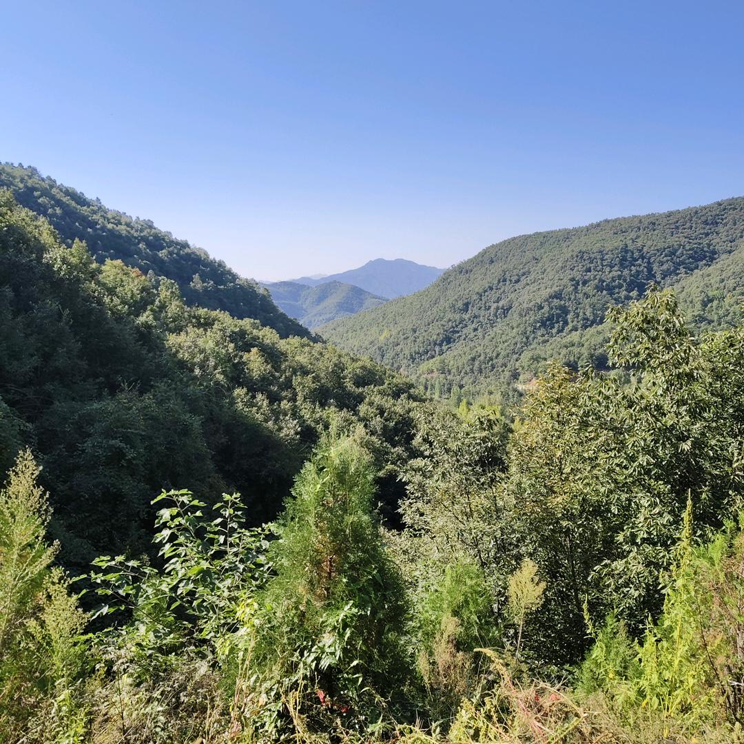 🎋🌿奇葩🎍的你🌾