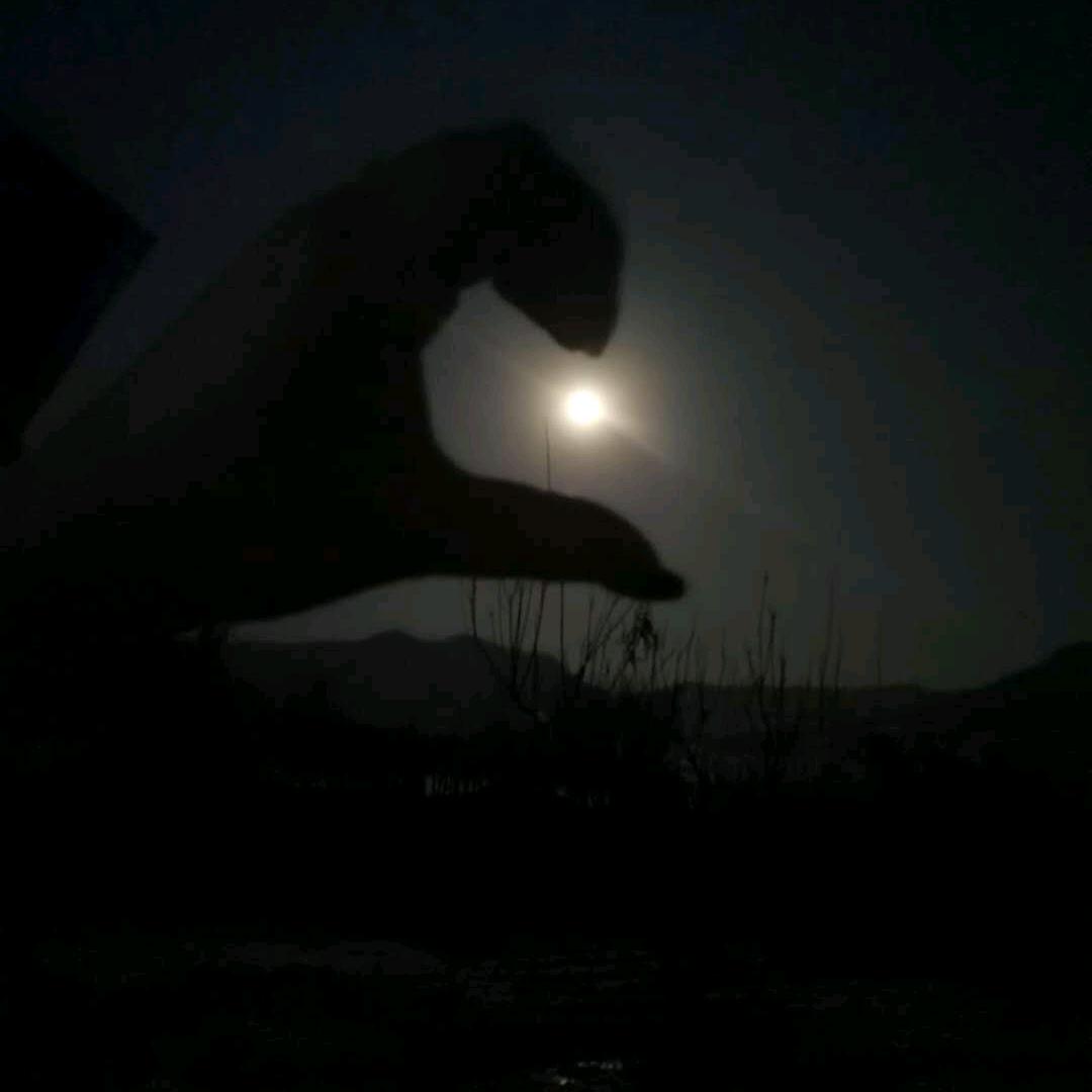 东南西北，杠胡