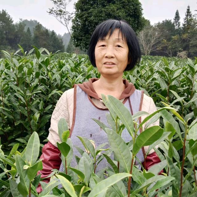 谢大姐
