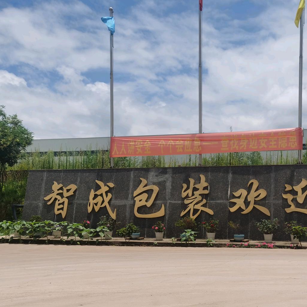 纸箱包装（新智成）