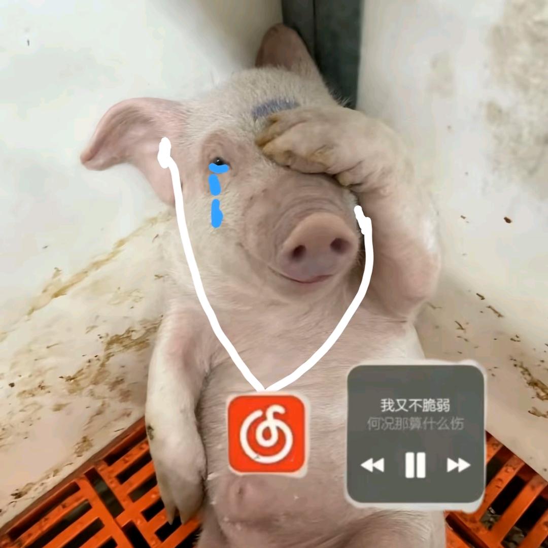 孤独的二锤