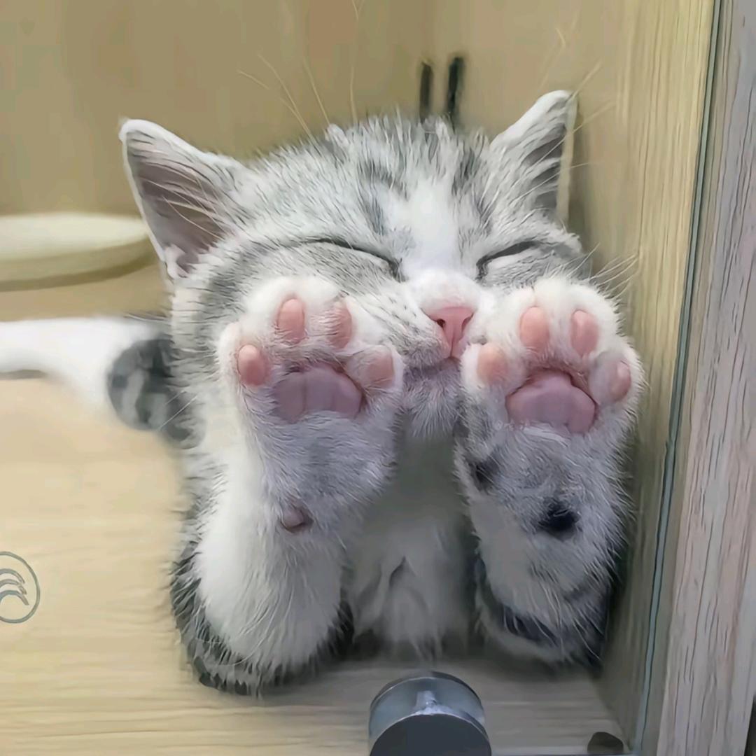 小7.