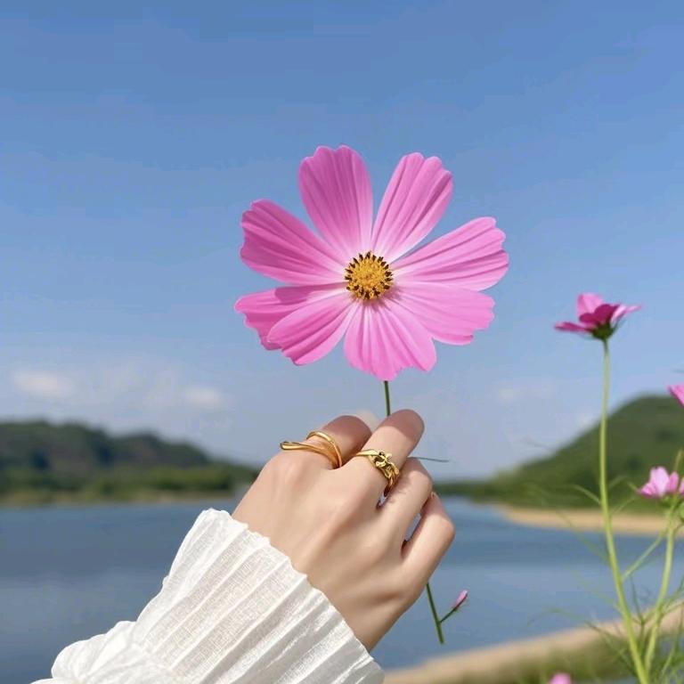 苒苒