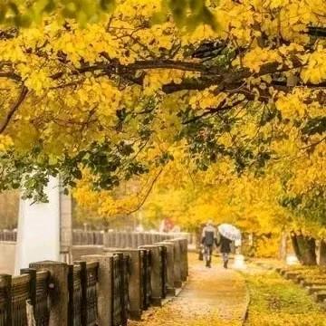 茶冷心凉