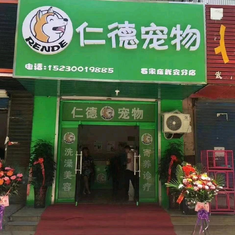 仁德宠物
