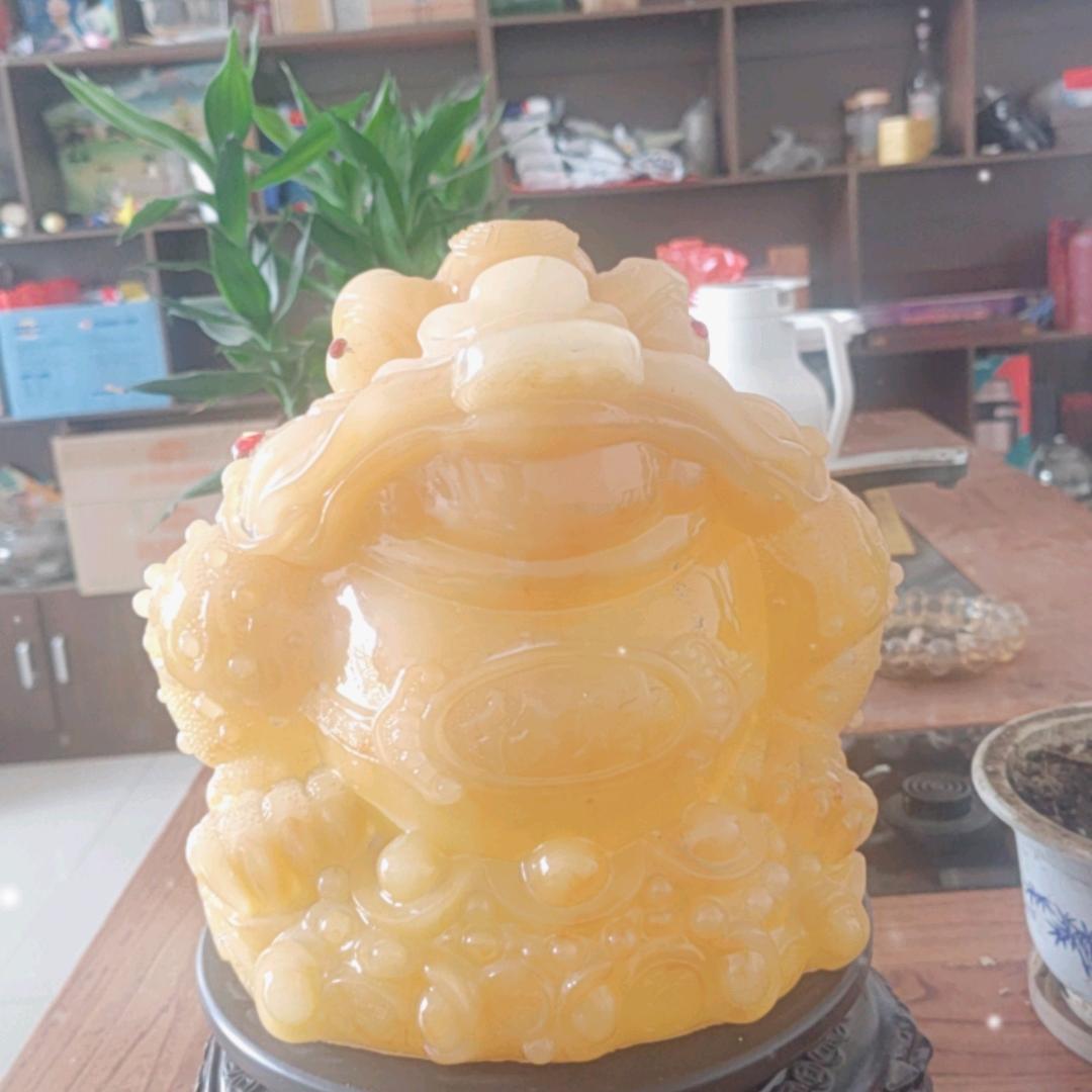 法永居士