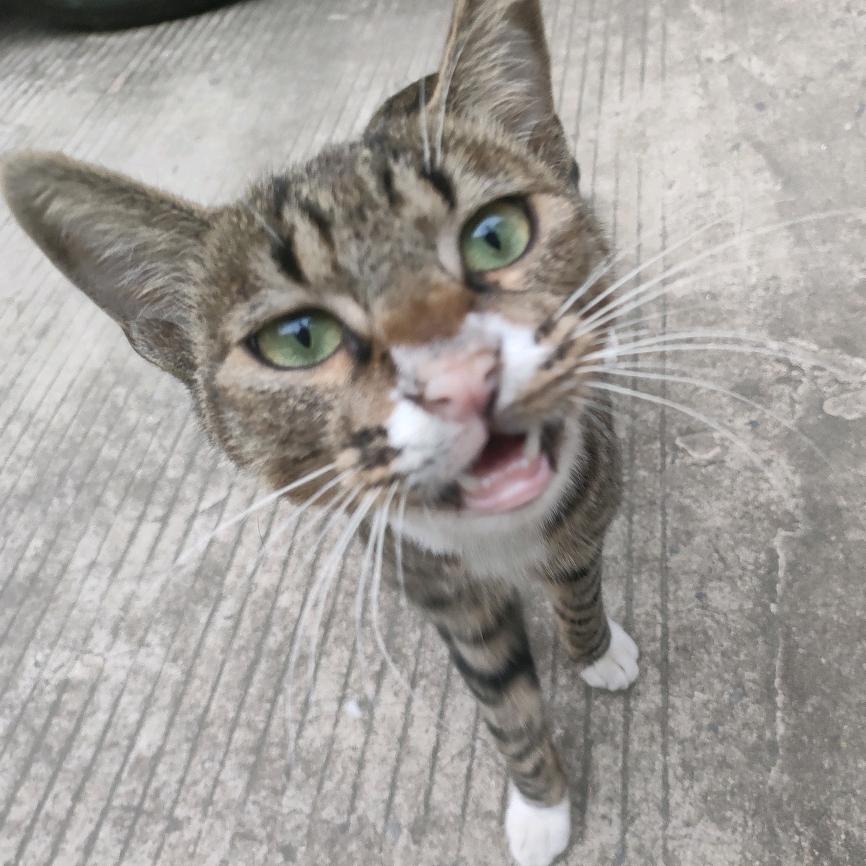 AAAA建材王姐