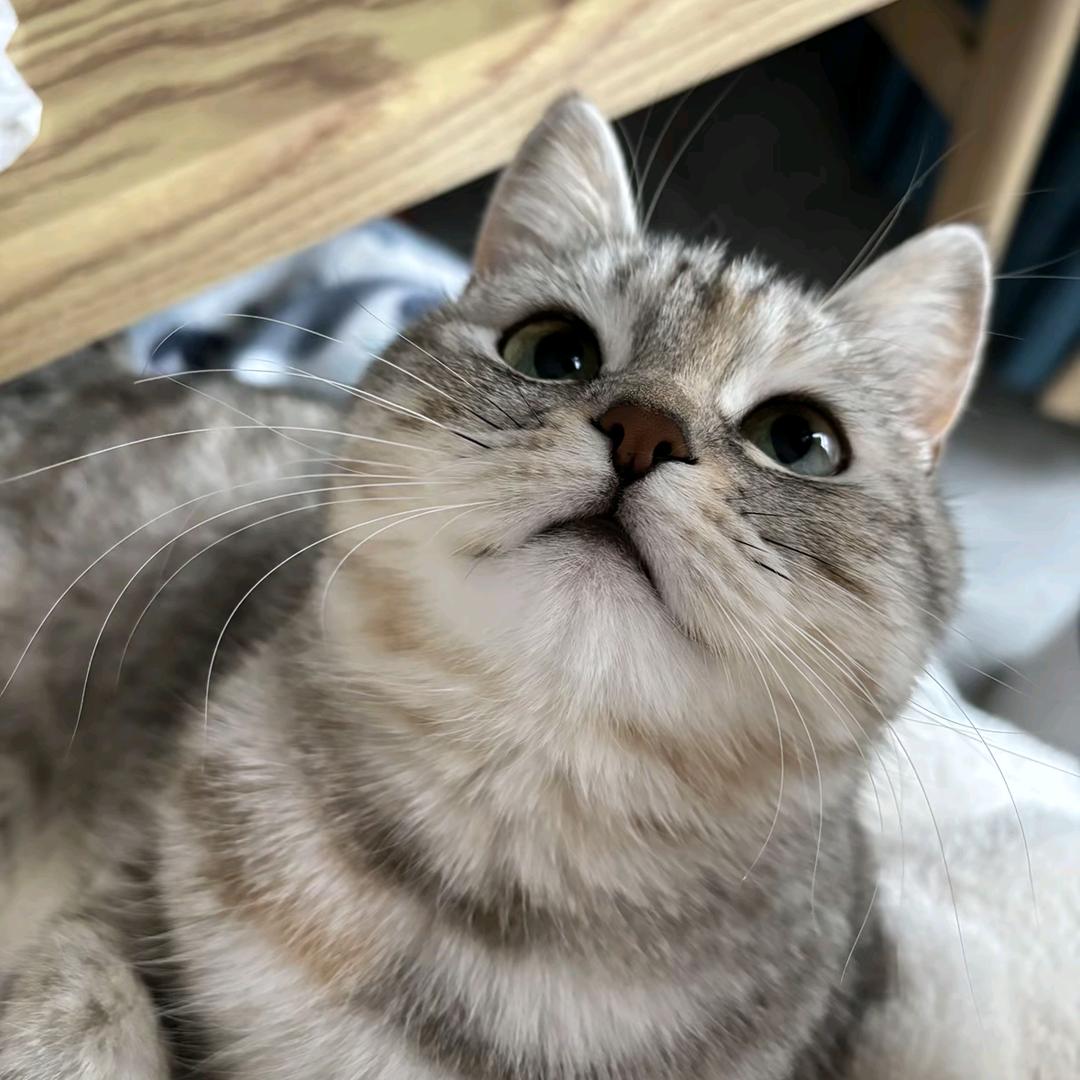 小