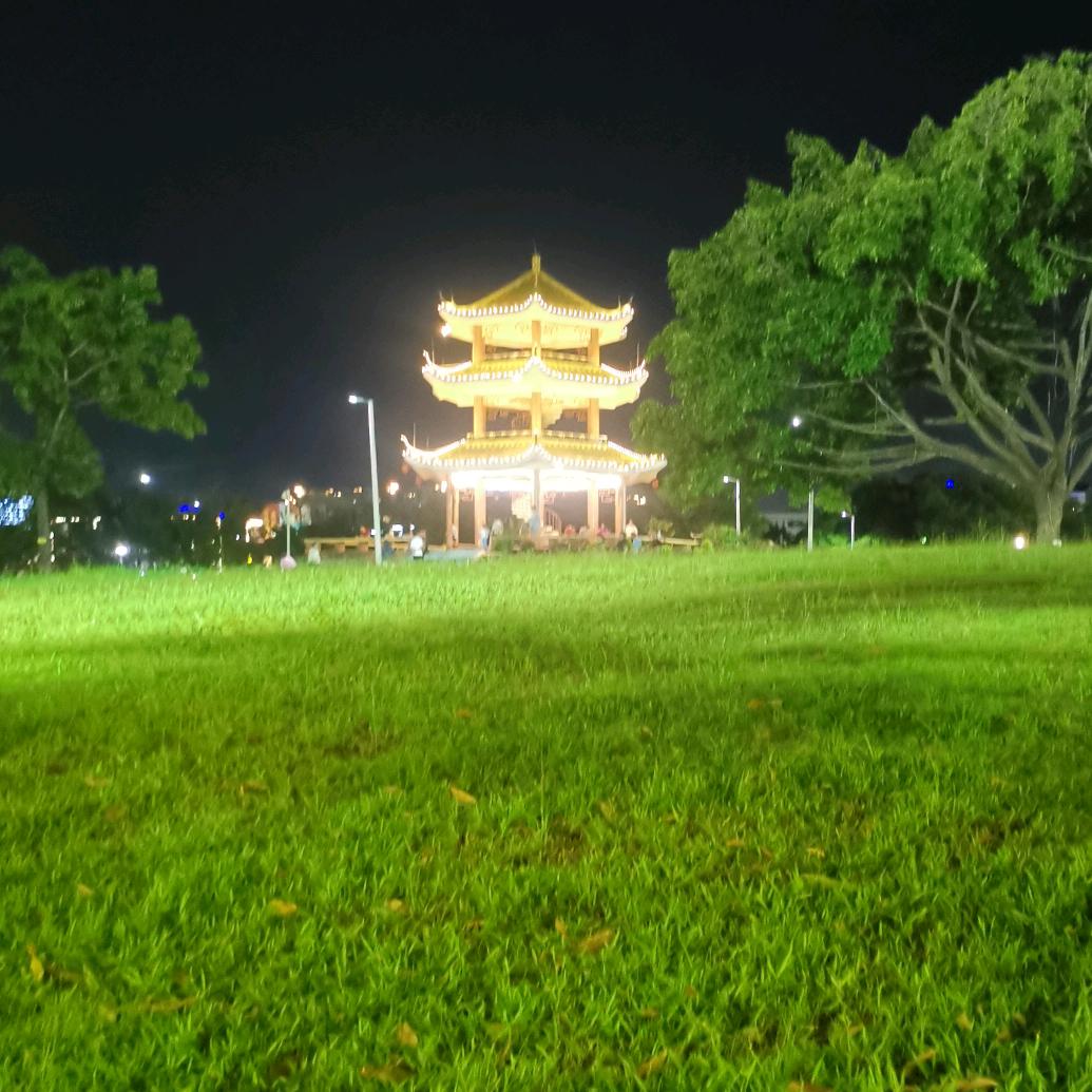 对酒当歌，人生几何。