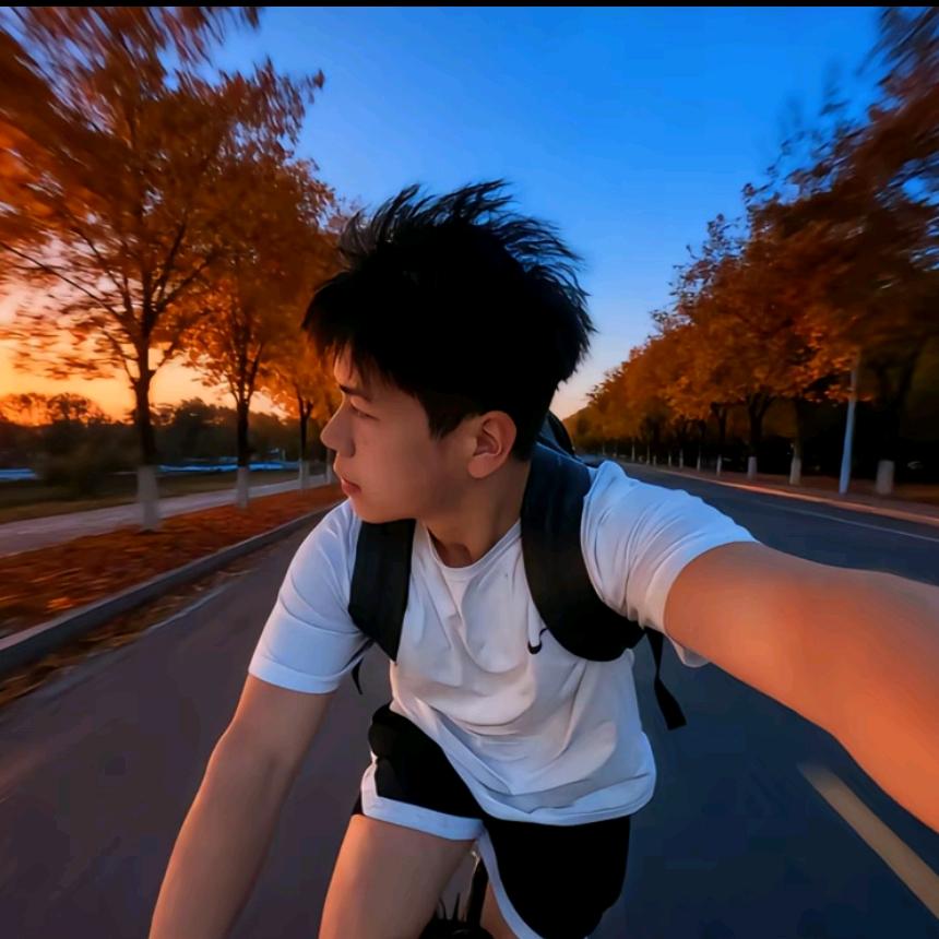 Ricardo.M.路