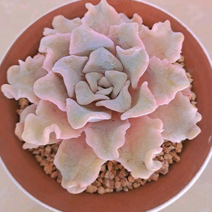 🌈碧海 蓝天🌈