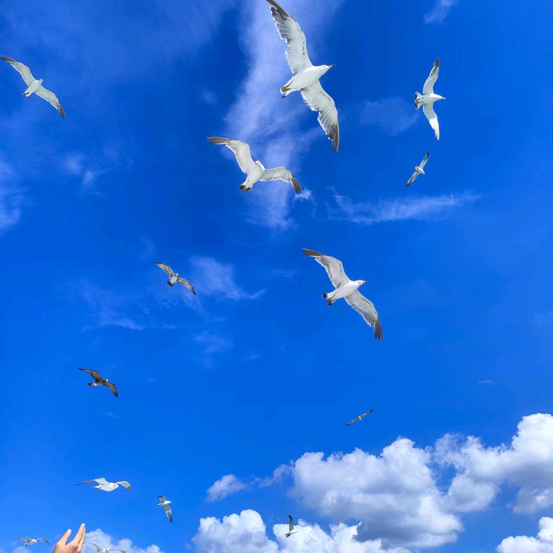 天天快乐&大本营