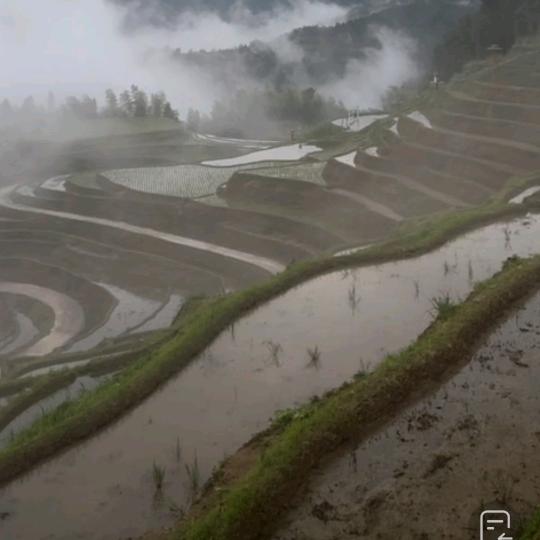 李金宝