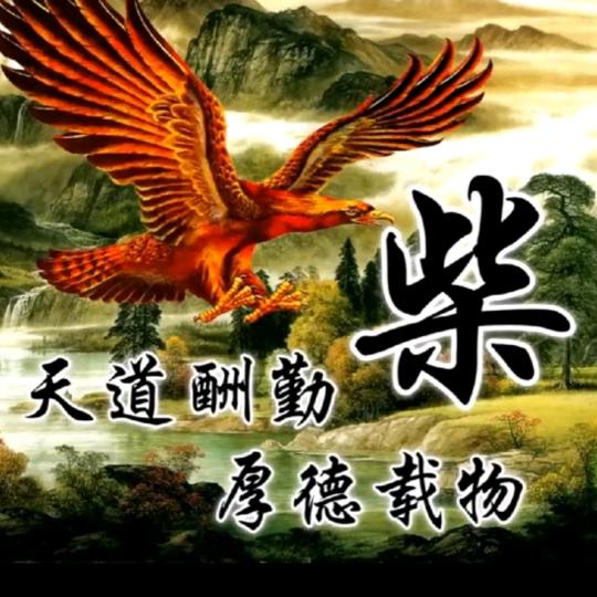 柴少