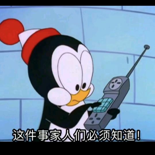 滴滴哒头像