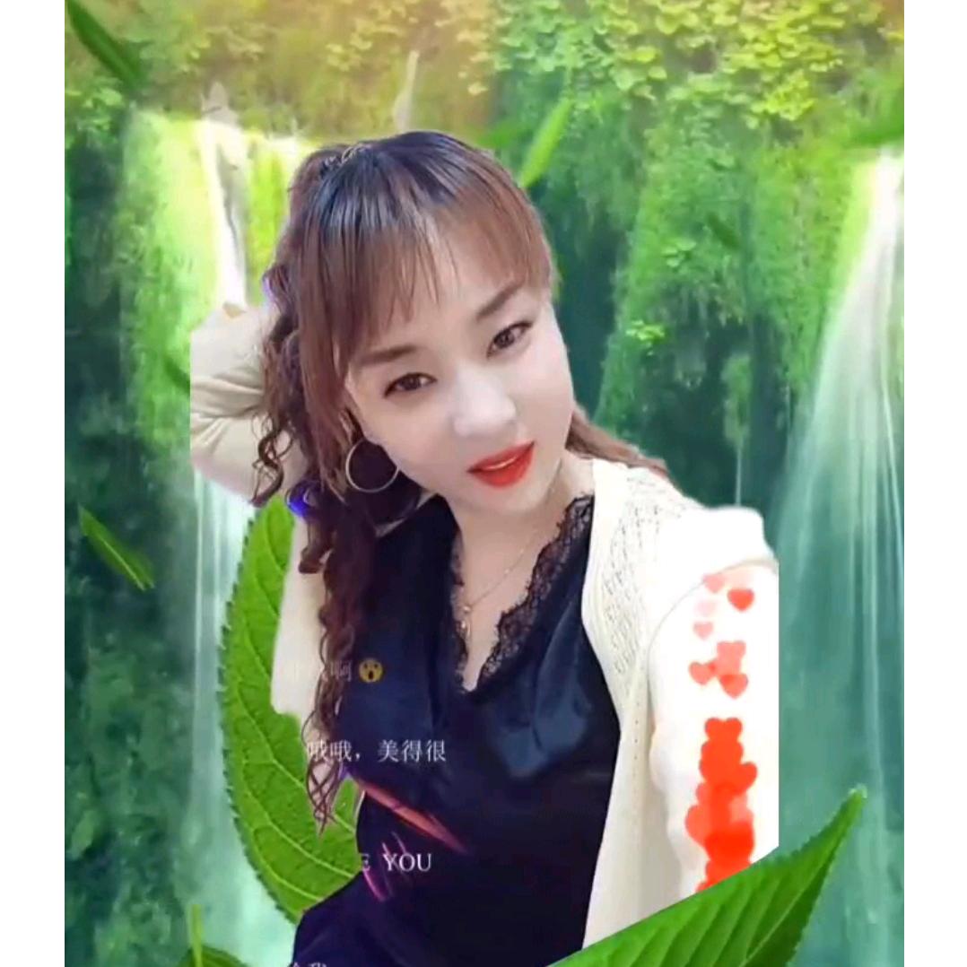 燕子，小迷糊
