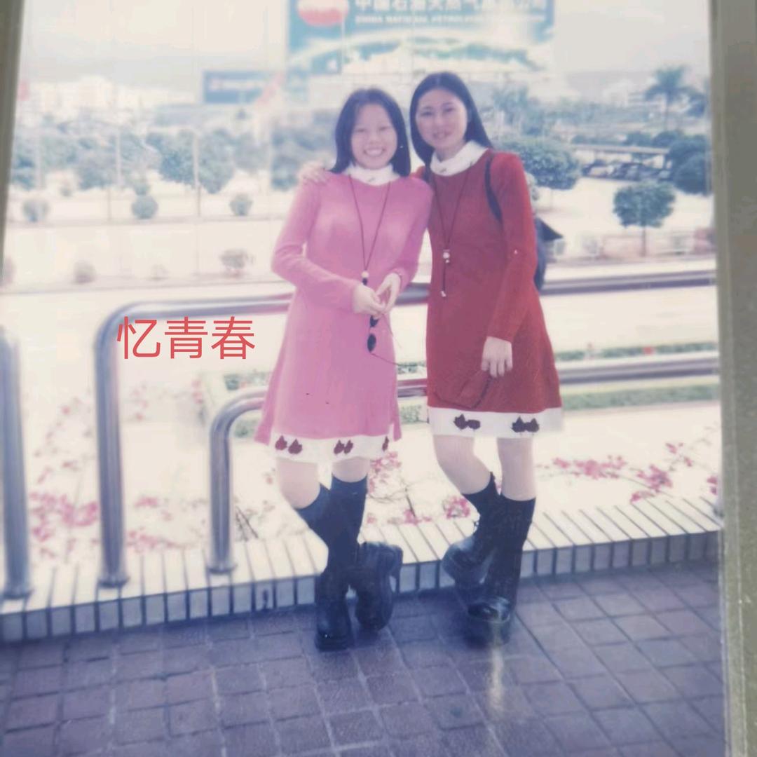 凤翔歌