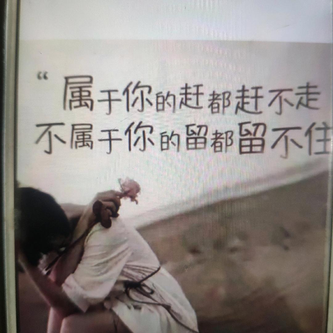 感恩有您