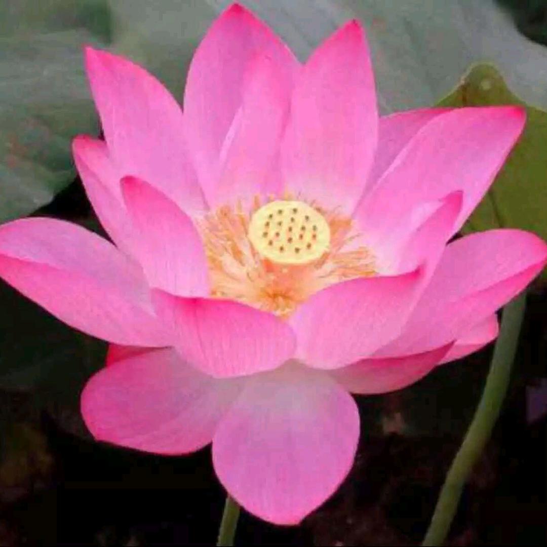 沐恩手工(接成品批发)