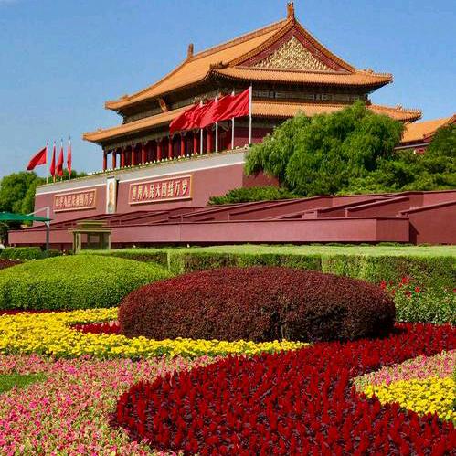 就爱乐动（动感音乐🎶）