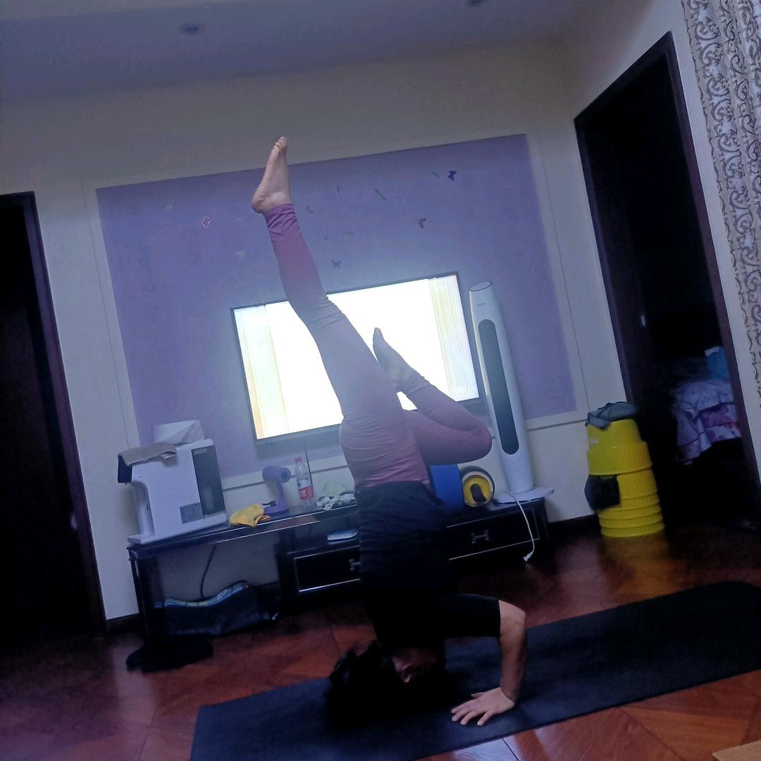 杨柳爱上倒立小号