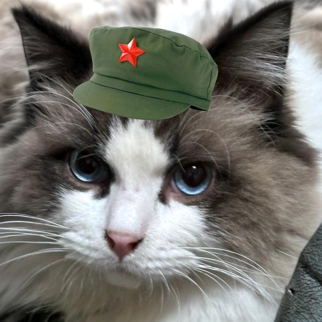 𝑨𝒏𝒂𝒌𝟏𝒏