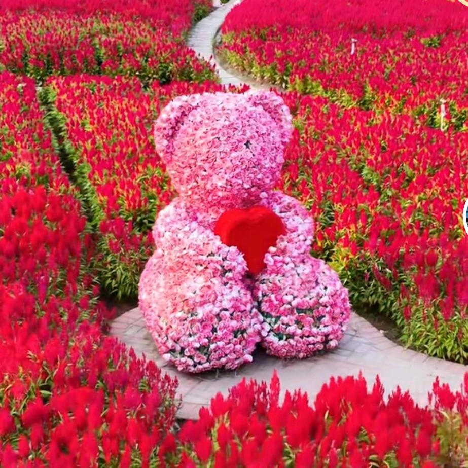 从今往后好好爱自己。