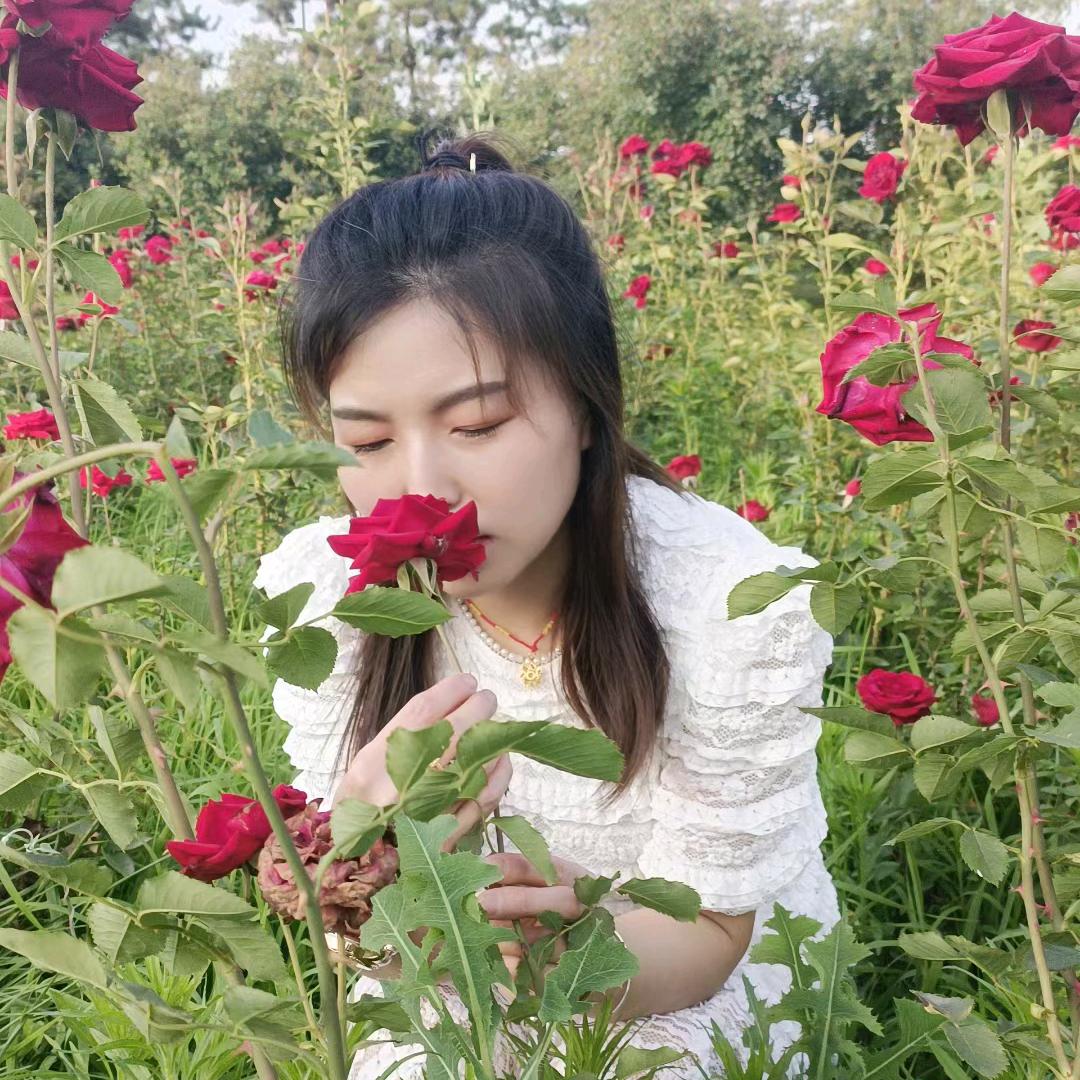 ╭(╯ε╰)╮岁月静好